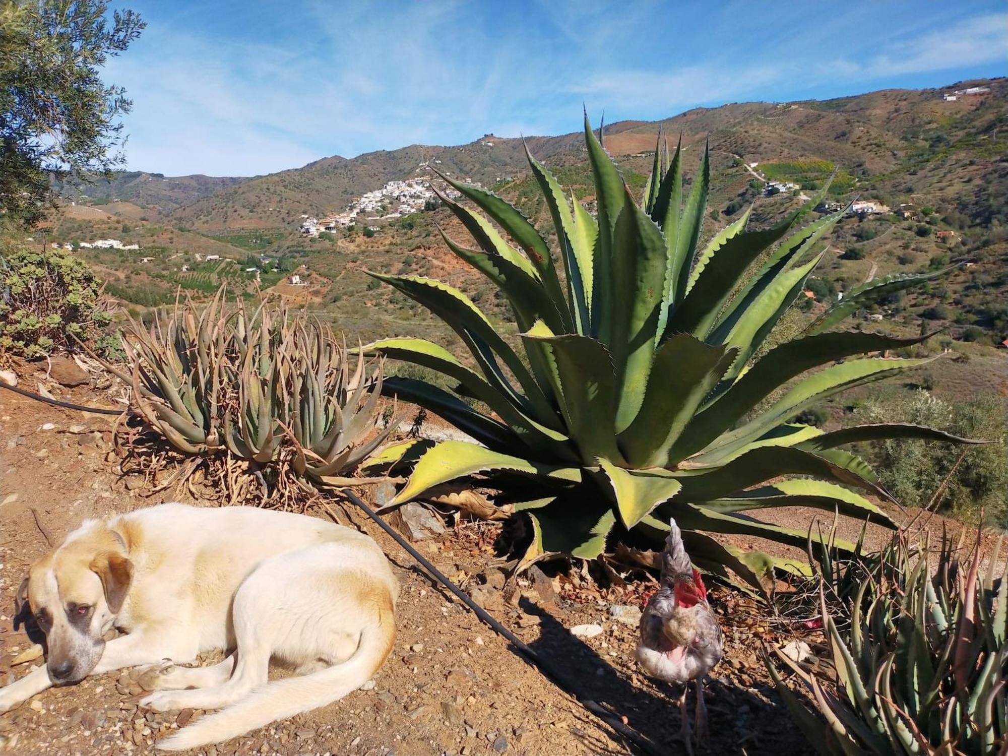 Paraje El Pozo Málaga Exterior foto